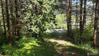 426 Highland Valley Road, Morton, WA 98356