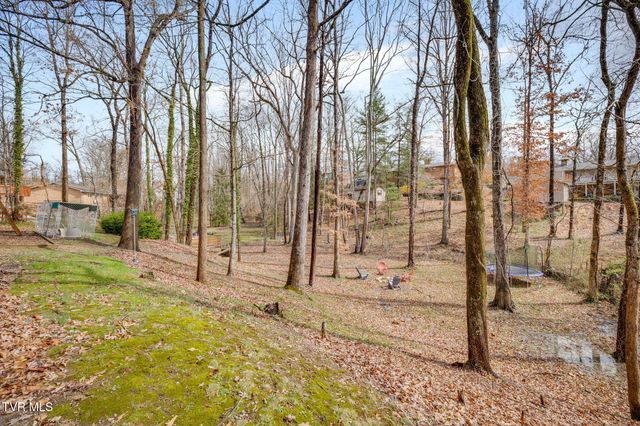 2113 Sheffield Street, Kingsport, TN 37660