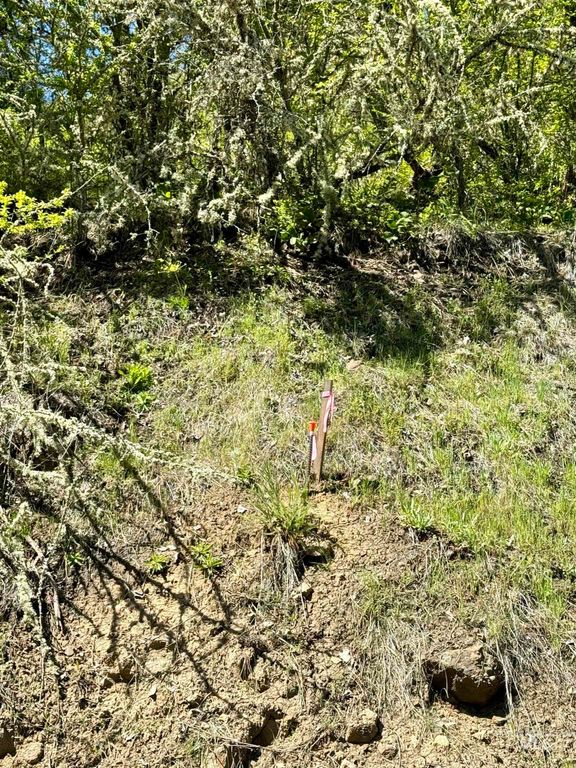 TBD (7ac) Lukes Gulch Rd, Stites, ID 83552 photo 11