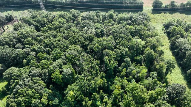 9540 Chubb Road Road, Northville, MI 48167