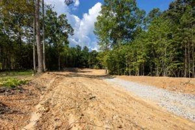 7704 Georgia Highway 100, Buchanan, GA 30113