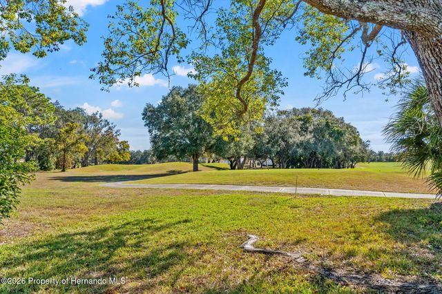 9570 Southern Belle Drive, Weeki Wachee, FL 34613