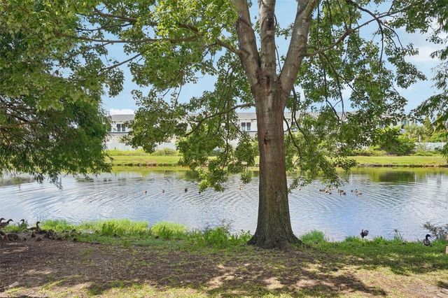 4935 WHITE SANDERLING COURT, Tampa, FL 33619