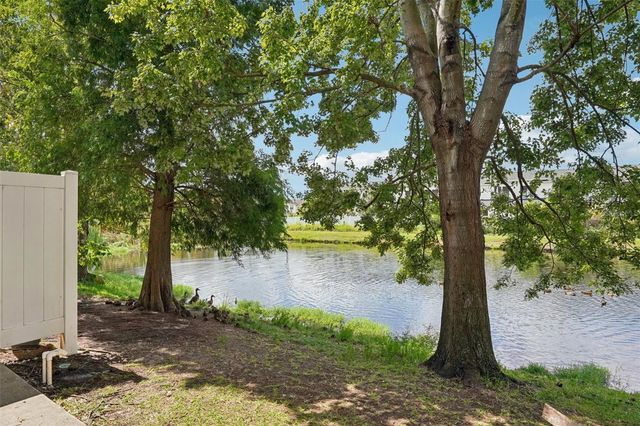 4935 WHITE SANDERLING COURT, Tampa, FL 33619