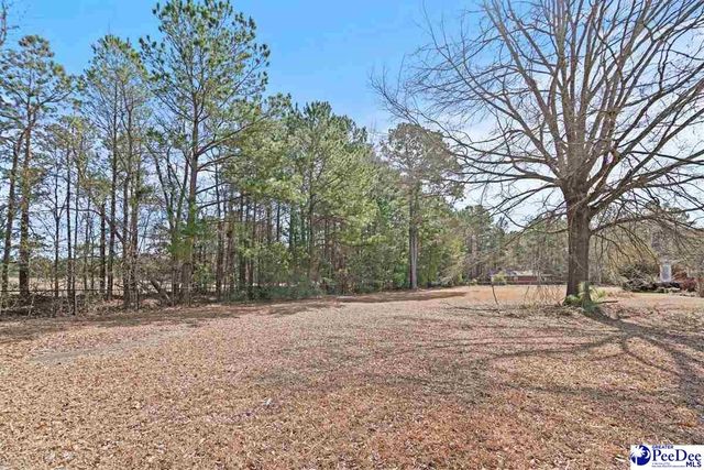 2924 Bridle Circle, Florence, SC 29505