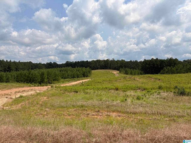 35 QUEEN DRIVE, Columbiana, AL 35051