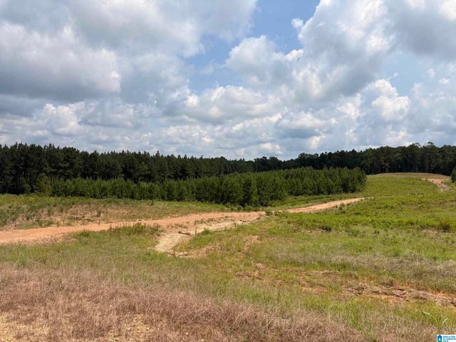 35 QUEEN DRIVE, Columbiana, AL 35051