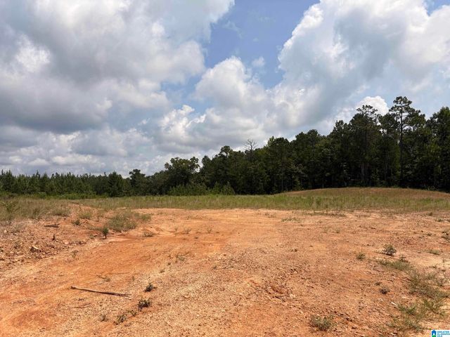 35 QUEEN DRIVE, Columbiana, AL 35051