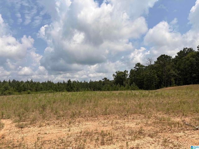35 QUEEN DRIVE, Columbiana, AL 35051