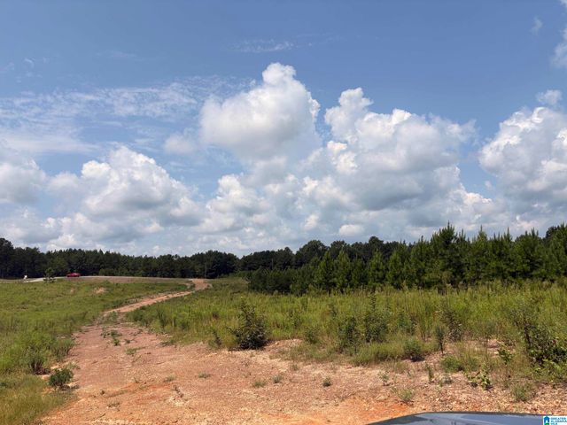 35 QUEEN DRIVE, Columbiana, AL 35051