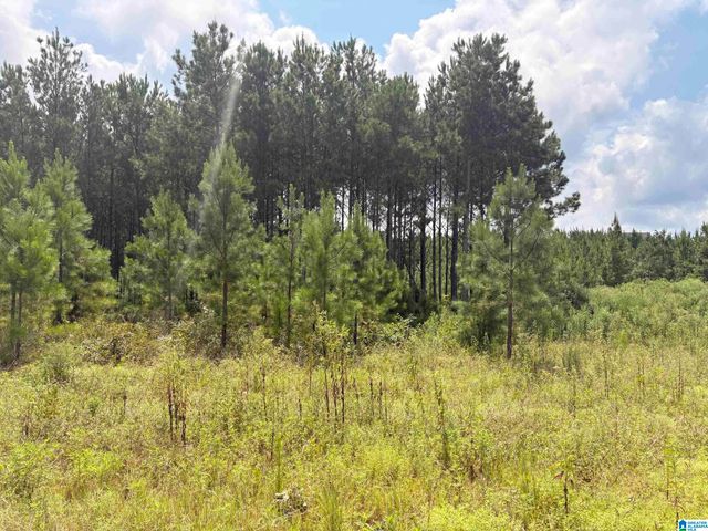 35 QUEEN DRIVE, Columbiana, AL 35051