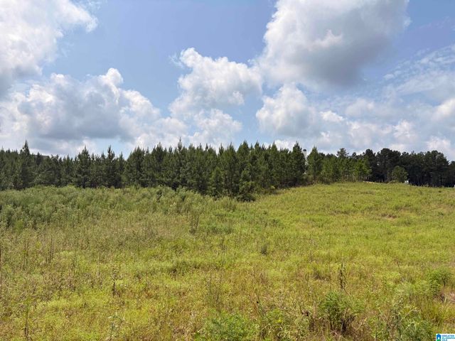 35 QUEEN DRIVE, Columbiana, AL 35051