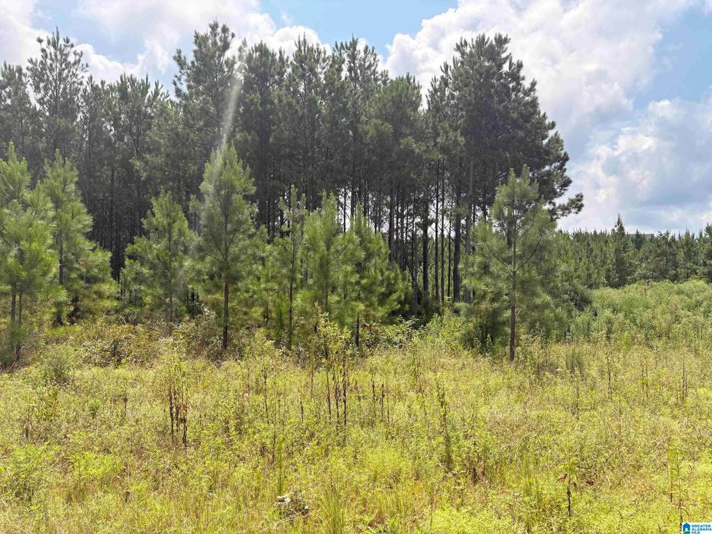 35 QUEEN DRIVE, Columbiana, AL 35051