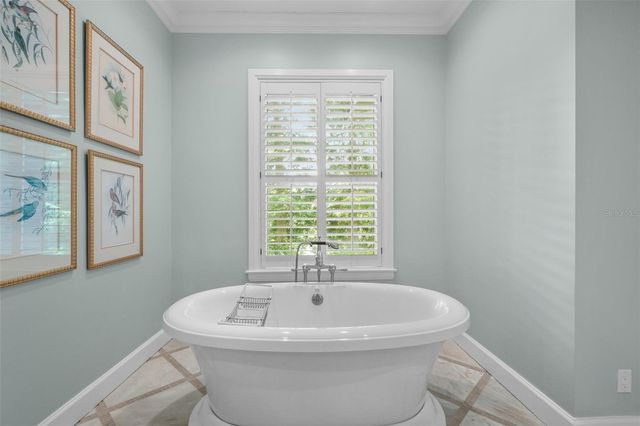 16203 VILLARREAL DE AVILA, Tampa, FL 33613