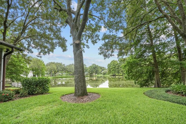 16203 VILLARREAL DE AVILA, Tampa, FL 33613