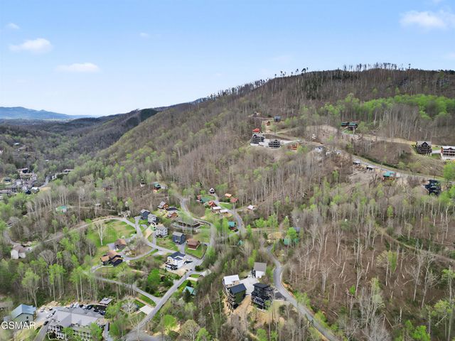 223 Chimney Tops Way, Gatlinburg, TN 37738