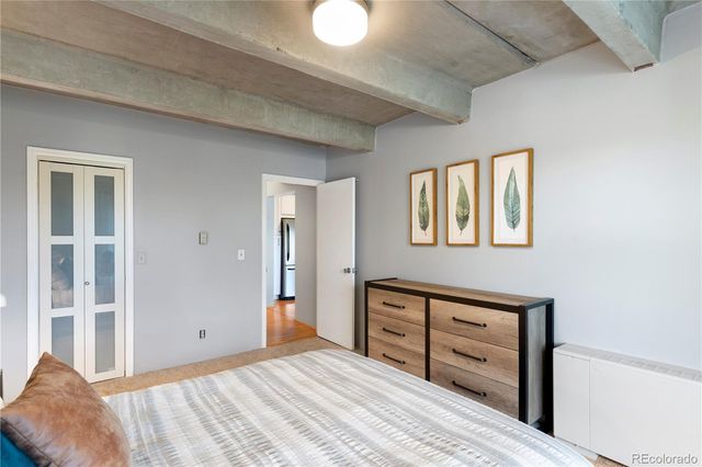 1265 N Race Street 505, Denver, CO 80206