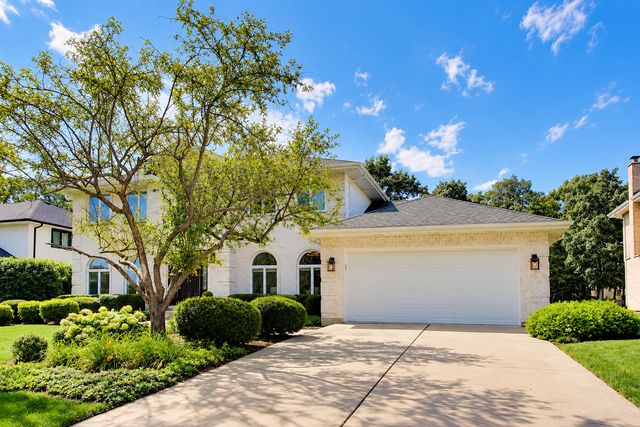 13636 S Shannon Drive, Homer Glen, IL 60491