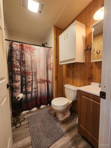 81 Bethel Road, Hawk Point, MO 63349