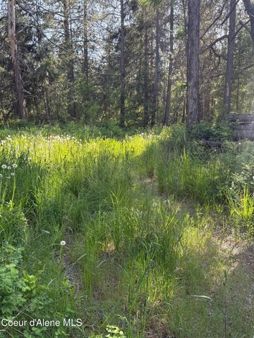 30625 N Pastime ST, Athol, ID 83801