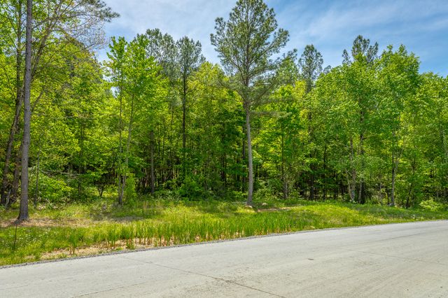 0 Birds Eye Way Lot 1111, Guild, TN 37340