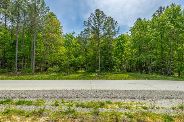 0 Birds Eye Way Lot 1111, Guild, TN 37340