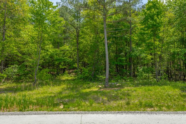0 Birds Eye Way Lot 1111, Guild, TN 37340