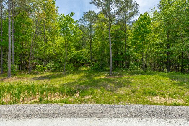 0 Birds Eye Way Lot 1111, Guild, TN 37340