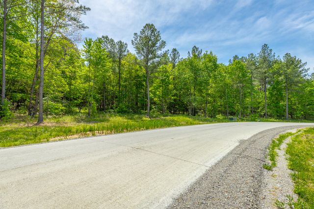 0 Birds Eye Way Lot 1111, Guild, TN 37340