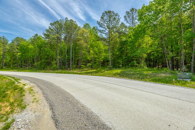 0 Birds Eye Way Lot 1111, Guild, TN 37340