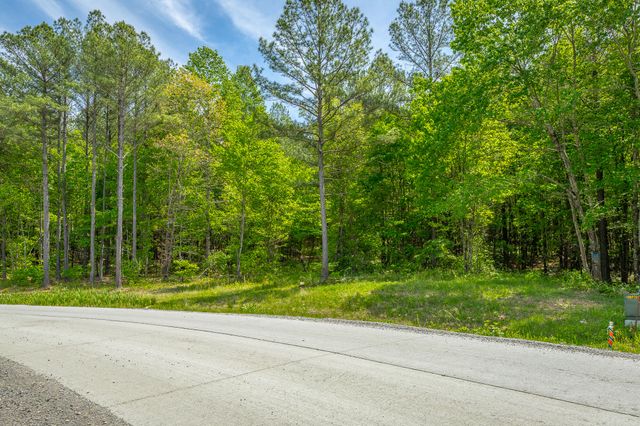 0 Birds Eye Way Lot 1111, Guild, TN 37340