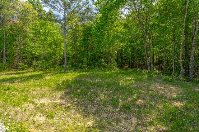 0 Birds Eye Way Lot 1111, Guild, TN 37340