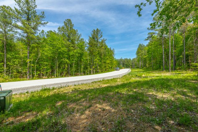 0 Birds Eye Way Lot 1111, Guild, TN 37340