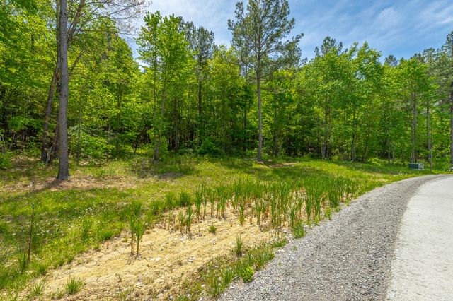 0 Birds Eye Way Lot 1111, Guild, TN 37340