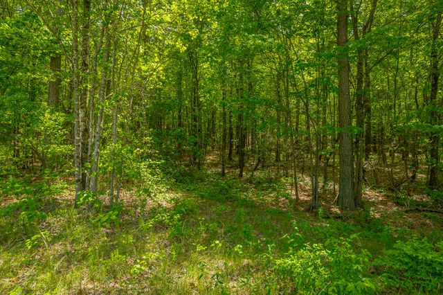 0 Birds Eye Way Lot 1111, Guild, TN 37340
