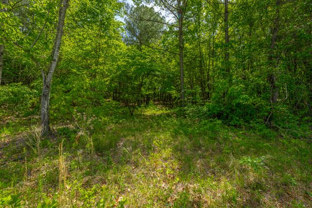 0 Birds Eye Way Lot 1111, Guild, TN 37340