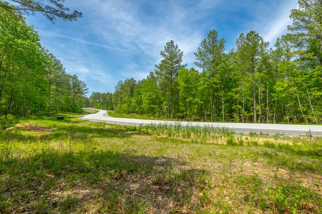0 Birds Eye Way Lot 1111, Guild, TN 37340