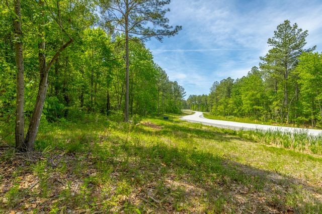 0 Birds Eye Way Lot 1111, Guild, TN 37340