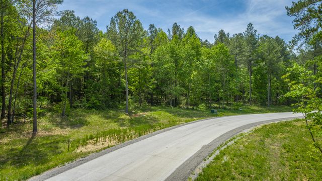 0 Birds Eye Way Lot 1111, Guild, TN 37340