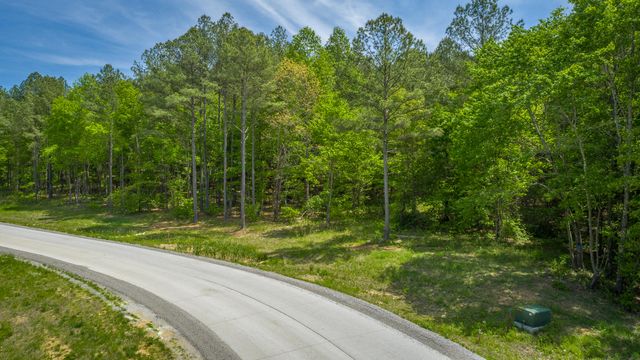 0 Birds Eye Way Lot 1111, Guild, TN 37340