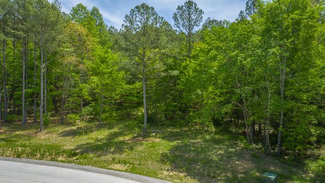 0 Birds Eye Way Lot 1111, Guild, TN 37340