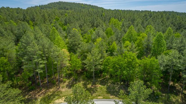 0 Birds Eye Way Lot 1111, Guild, TN 37340