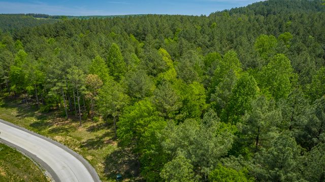 0 Birds Eye Way Lot 1111, Guild, TN 37340