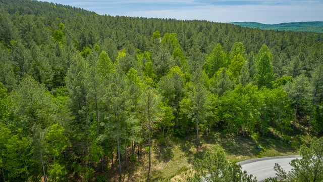 0 Birds Eye Way Lot 1111, Guild, TN 37340
