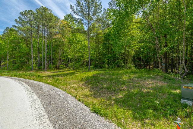 0 Birds Eye Way Lot 1111, Guild, TN 37340