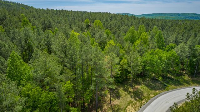 0 Birds Eye Way Lot 1111, Guild, TN 37340