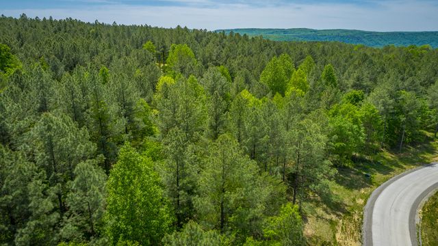 0 Birds Eye Way Lot 1111, Guild, TN 37340
