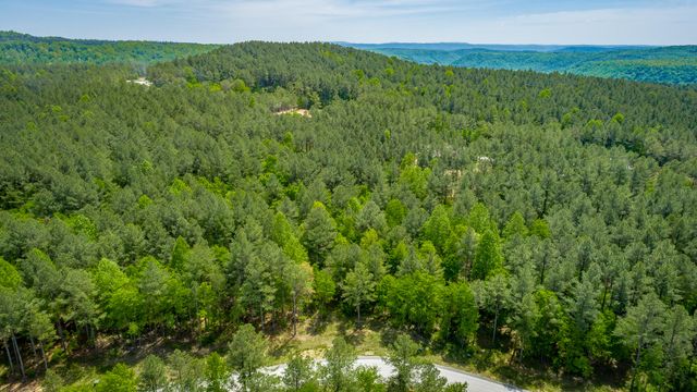 0 Birds Eye Way Lot 1111, Guild, TN 37340