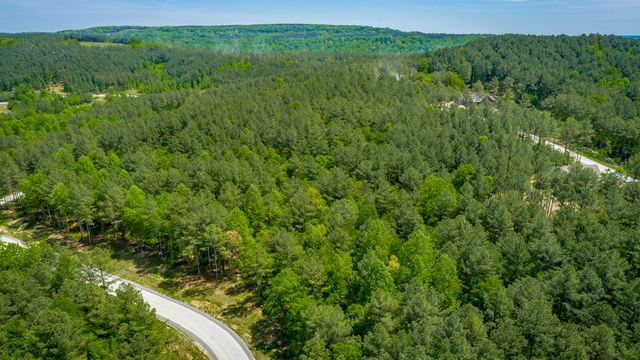 0 Birds Eye Way Lot 1111, Guild, TN 37340