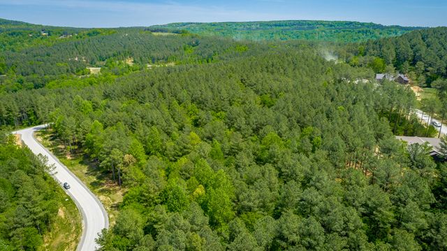0 Birds Eye Way Lot 1111, Guild, TN 37340
